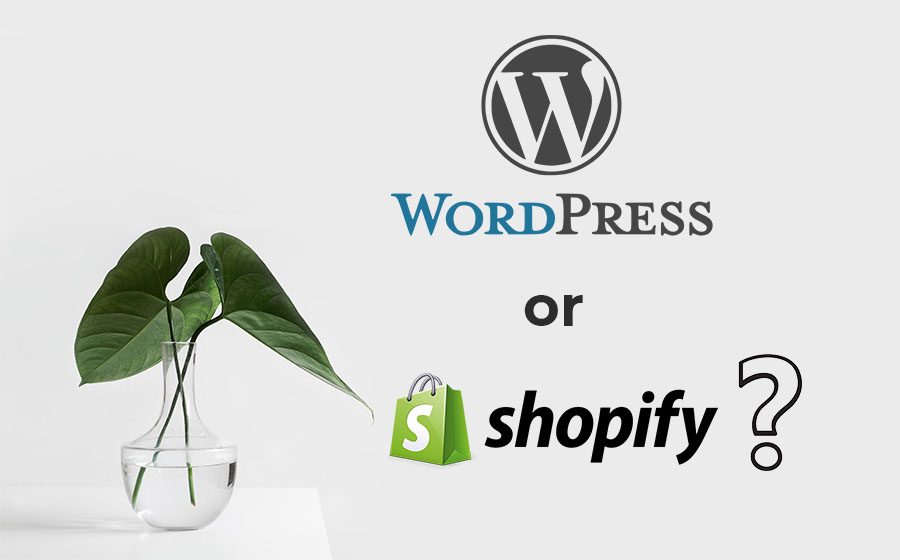 website e-commerce dr age best shopify wordpress sydney media agency